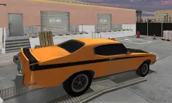 Backyard Car Parking