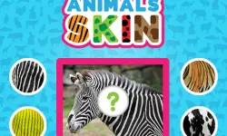 Animals Skin