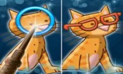 Find Differences For Kid