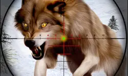 Fox Hunting Sniper Shooting