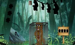 Rescue The Wolverine