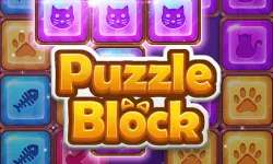 Puzzle Block