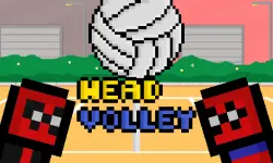 Head Volley
