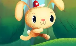 Rabbit Run background