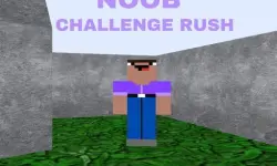 Noob Challenge Rush