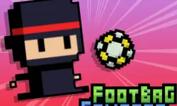 Footbag Fanatic