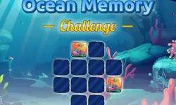 Ocean Memory Challenge