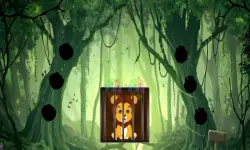 Rescue The Lion Cub background