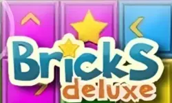 Bricks Deluxe