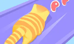 Cat Evolution background