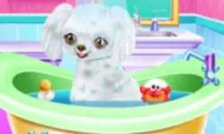 My New Poodle Friend - Pet Care Game