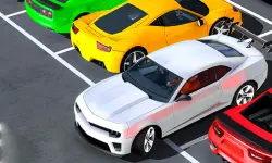 Real Advance Car parking background