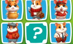 Hamster Kombat Pairs