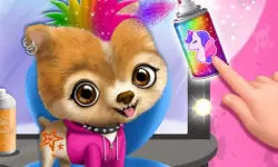 Rock Star Animal Hair Salon background