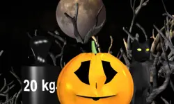 Halloween Pumpkin Weighin;