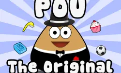 Pou pet