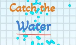 Catch the water