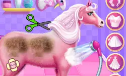 Princess Horse Caring