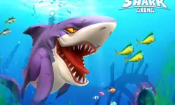Hungry Shark Arena background