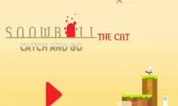 Snowball The Cat Catch and Go