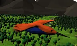 Bird Simulator