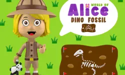 World of Alice   Dino Fossil