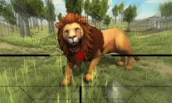 Lion Hunting 3D