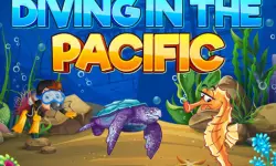 Diving In The Pacific