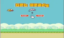 flappy bird 2D