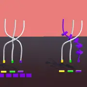 Twist image